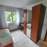 Landgasthof Biberenbad *