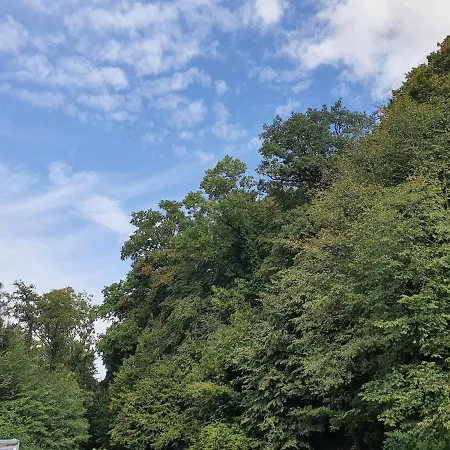 酒店 Landgasthof Biberenbad *