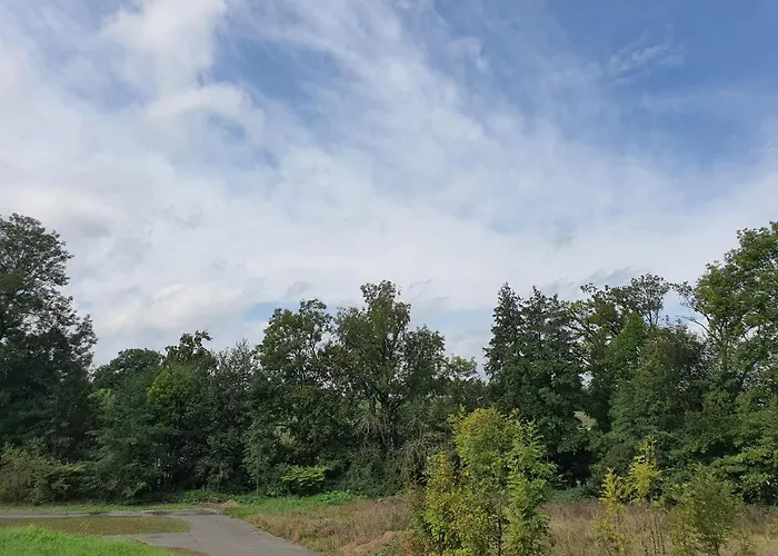 Landgasthof Biberenbad 酒店 Ferenbalm