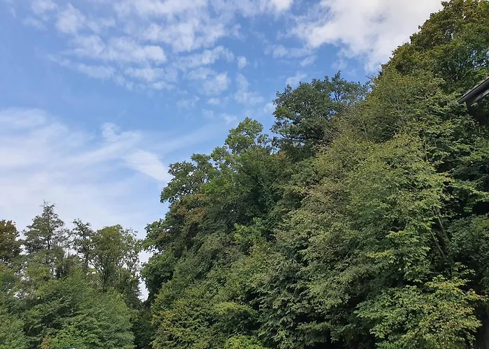 酒店 Landgasthof Biberenbad *